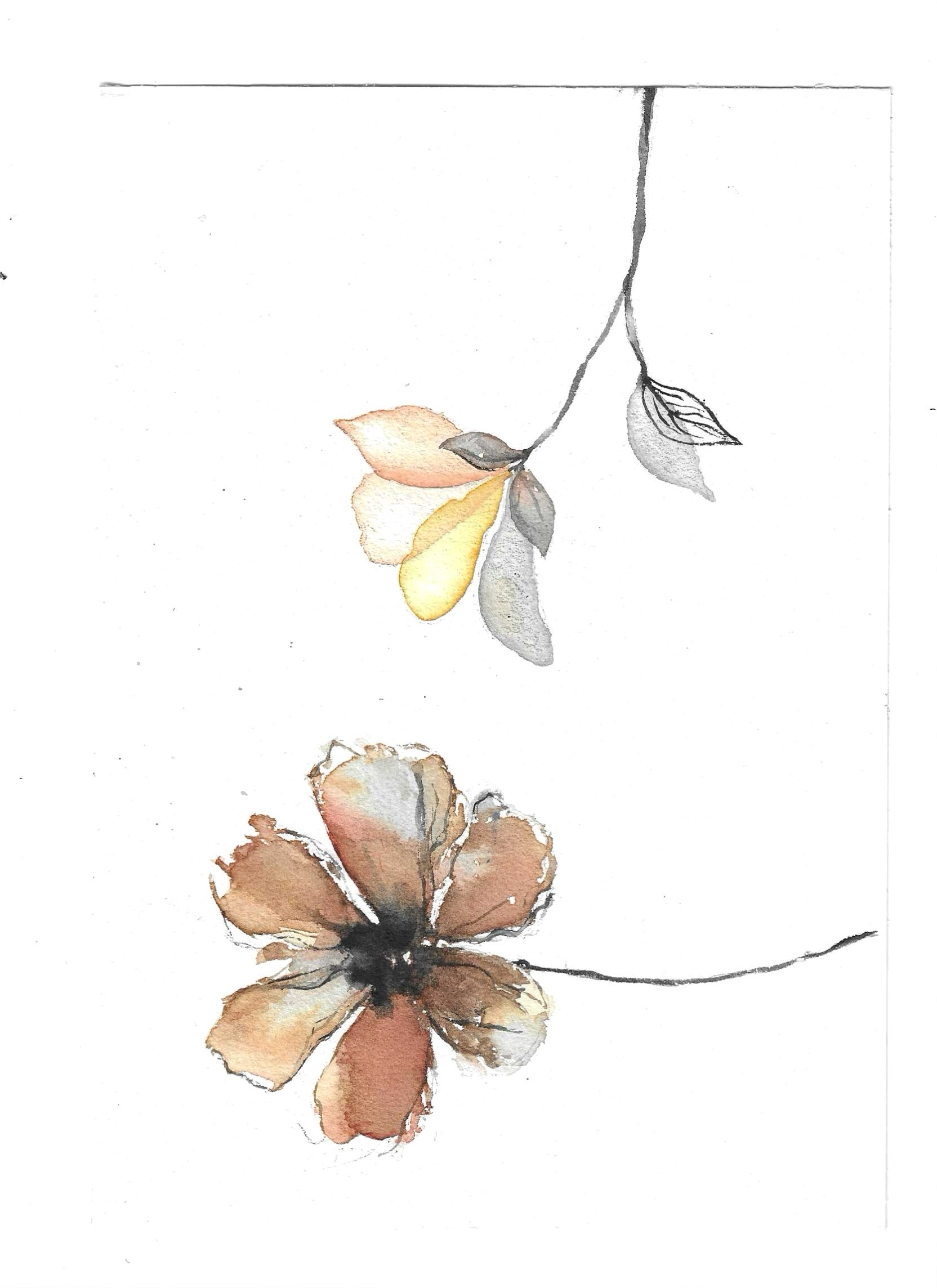 Bloem illustratie 2