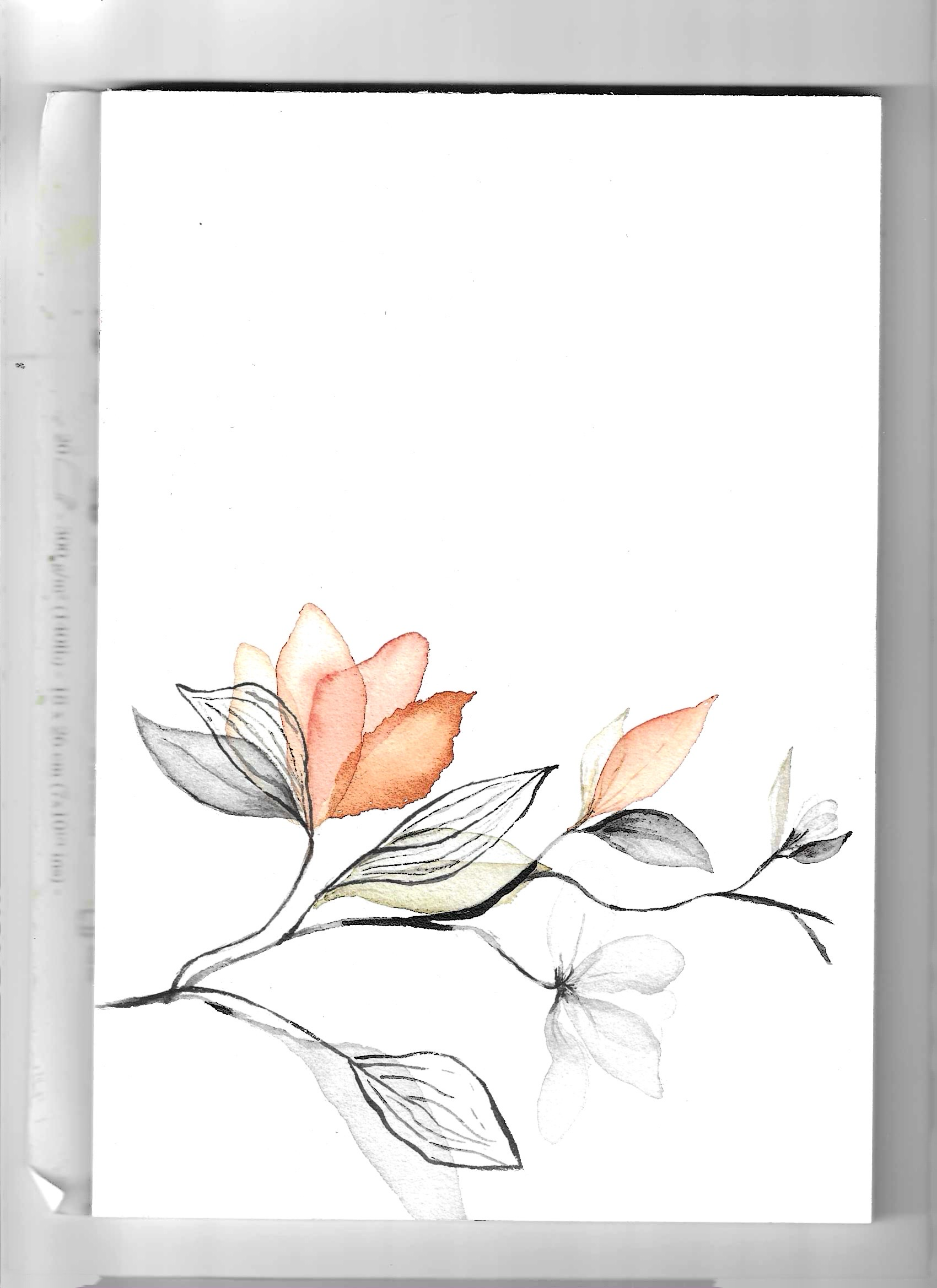 Bloem illustratie 1